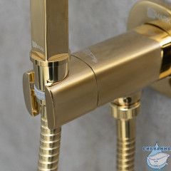 Встраиваемый смеситель с гигиеническим душем Lemark Solo LM7172G (золото)