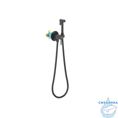 Смеситель с гигиеническим душем Aquatek Европа AQ1021MB (черный матовый)