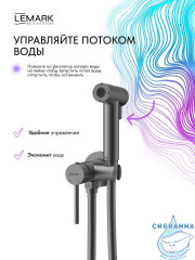 Встраиваемый смеситель с гигиеническим душем Lemark Калина LMF-2118S-GM (графит)