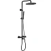 Душевая система Allen Brau Priority 300 1 режим 296346 (черный матовый)