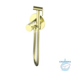 Встраиваемый смеситель с гигиеническим душем Oliveeka Y-Line OL-829909-BG (золото матовое)