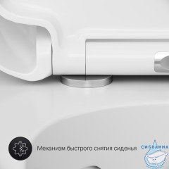 Унитаз подвесной безободковый AM.PM Sensation C301700WH (без сиденья) (белый глянец)