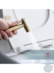 Встраиваемый смеситель Raglo  R20.52.03  с гигиеническим душем (сатин золотой)