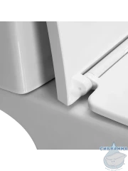 Унитаз напольный безободковый Azario Vise с бачком и сиденьем Soft Close (микролифт) AZ-1343BT