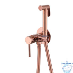 Встраиваемый смеситель с гигиеническим душем ABBER Wasser Kreis AF8125RG (розовое золото)