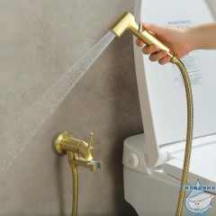 Встраиваемый смеситель с гигиеническим душем Aquatek Ника AQ1819BG (золото шлифованное)