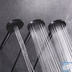 Лейка для душа AM.PM Like F0280022 3 режима (черный матовый)