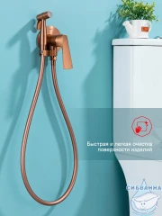 Встраиваемый смеситель с гигиеническим душем Raglo R07.52.33 (медь)