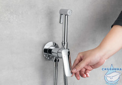 Встраиваемый смеситель с гигиеническим душем Aquatek Вега AQ1019CR (хром )