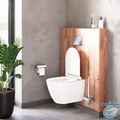 Унитаз подвесной безободковый Damixa Apollo с сиденьем Soft Close (микролифт) DX22C1700SC