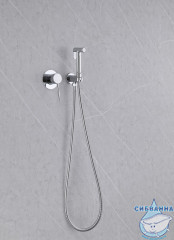 Встраиваемый смеситель с гигиеническим душем ABBER Emotion AF8825 (хром )