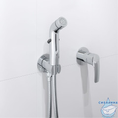 Встраиваемый смеситель с гигиеническим душем, Ray, IDDIS, RAYSBR2i08