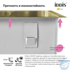 Мойка, нерж.сталь, универсального монтажа, матовое золото, 540*440,  Edifice, IDDIS, EDI54B0i77