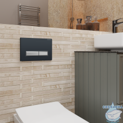 Кнопка смыва Charus Raiden FP.321.BBN.01 черный глянцевый