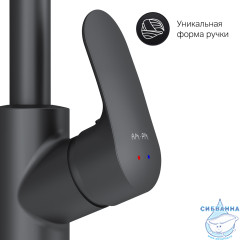 Смеситель для кухни AM.PM Like F8005722 (черный матовый)