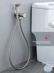 Встраиваемый смеситель с гигиеническим душем Raglo R20.54.05 (сатин)