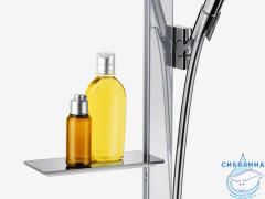 Душевой гарнитур Hansgrohe Raindance Select S 27646000