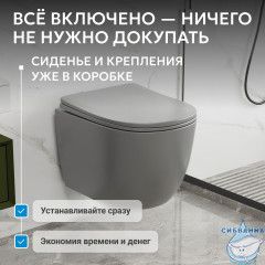 Унитаз подвесной безободковый Abber Bequem AC1103MG с сиденьем Soft Close (микролифт) (серый матовый)