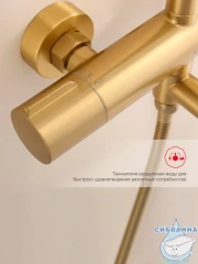 Душевая система Raglo 250 1 режим R20.24.03 (сатин золотой)