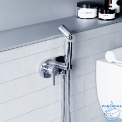 Встраиваемый смеситель с гигиеническим душем Damixa Option 212000000 (хром)