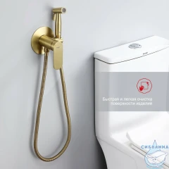 Встраиваемый смеситель с гигиеническим душем Raglo R10.52.03 (сатин золотой)