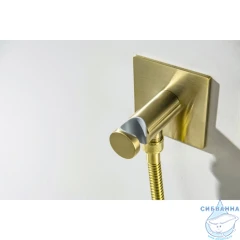 Смеситель с гигиеническим душем Aquatek Оберон AQ1220BG (золото шлифованное)