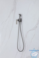 Встраиваемый смеситель с гигиеническим душем ABBER Daheim AF8226NG (никель)