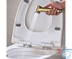 Встраиваемый смеситель Raglo R03.52.03 с гигиеническим душем (сатин золотой)