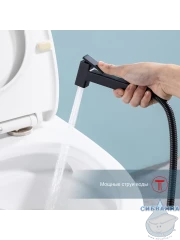 Встраиваемый смеситель с гигиеническим душем Raglo R51.55.06 (черный матовый)