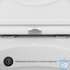 Унитаз подвесной AM.PM Inspire C501700WH (без сиденья) (белый глянцевый)