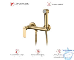 Смеситель Raglo R03.51.03 с гигиеническим душем (сатин золотой)