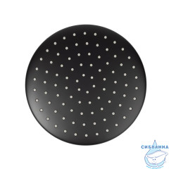 Лейка верхняя, Ray, черный, IDDIS, 978IDDISB21SM