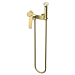 Смеситель с гигиеническим душем Azario Conda AZ-K2511MG (золото матовое)