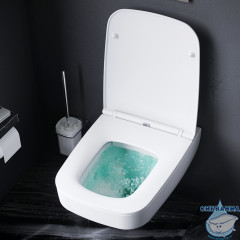 Унитаз подвесной безободковый AM.PM  Inspire 2.0 FlashClean (с сиденьем Soft Close (микролифт) C50A1700SC