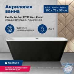 Акриловая ванна Aquanet Family Perfect 170x75 (белый /черный матовый)