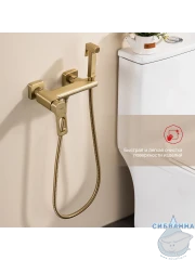 Встраиваемый смеситель с гигиеническим душем Raglo R51.51.03 (сатин золотой)