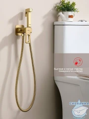 Встраиваемый смеситель с гигиеническим душем Raglo R51.52.03 (сатин золотой)