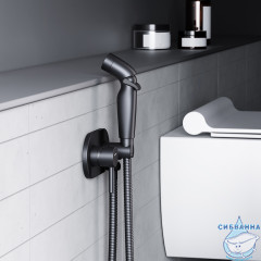 Смеситель с гигиеническим душем Damixa Option 212000300 (черный матовый)