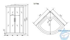 Душевая кабина Timo Lux T-7701 100х100