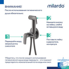 Встраиваемый смеситель с гигиеническим душем, графит, Rora, Milardo, RORGMR0M08