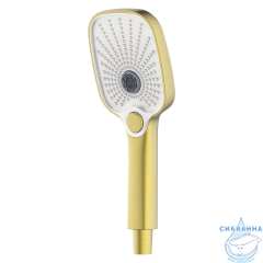 Смеситель для ванны Azario Conda AZ-K3011MG (золото матовое)