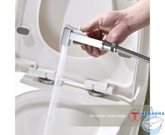 Встраиваемый смеситель Raglo R01.53 с гигиеническим душем (хром)