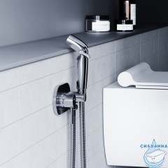 Встраиваемый смеситель с гигиеническим душем Damixa Option 212000000 (хром)