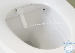 Инсталляция Jacob Delafon с кнопкой смыва в комплекте с унитазом Jacob Delafon Seine c сиденьем Soft close (микролифт) легкосъёмное E34360-00