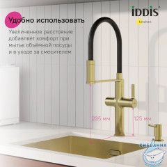 Смеситель для кухни с каналом для фильтрованной воды и гибким изливом, матовое золото, Ikon, IDDIS, IKNMGFFi05