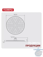 Верхний душ Raglo 250 R451.50 (хром)