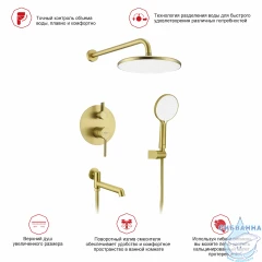 Душевая система Raglo 250 1 режим R20.27.03 (сатин золотой)