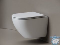Унитаз подвесной безободковый Ceramicanova Whirl CN11007T с сиденьем быстросъемным Soft Close (микролифт)
