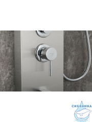 Душевая панель Frap F24005-5 (сатин)