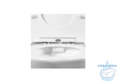  Унитаз подвесной безободковый Aquatek Бетта AQ1253W-00 с сиденьем Soft Close (микролифт)
